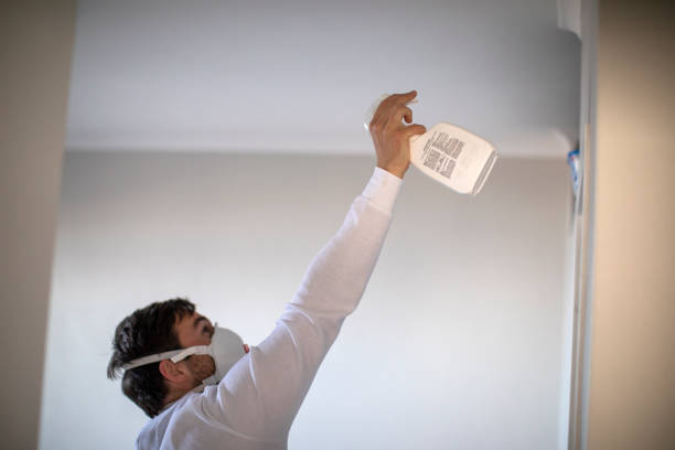 Certified Mold Removal in Stanton, MI