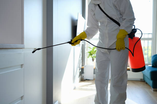 Best Commercial Mold Removal  in Stanton, MI