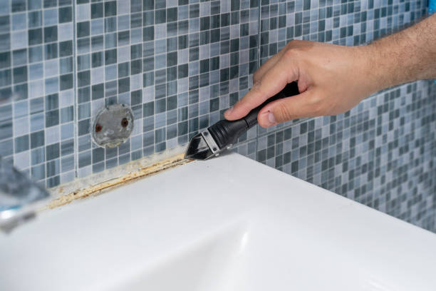 Best Mold Cleaning Services  in Stanton, MI