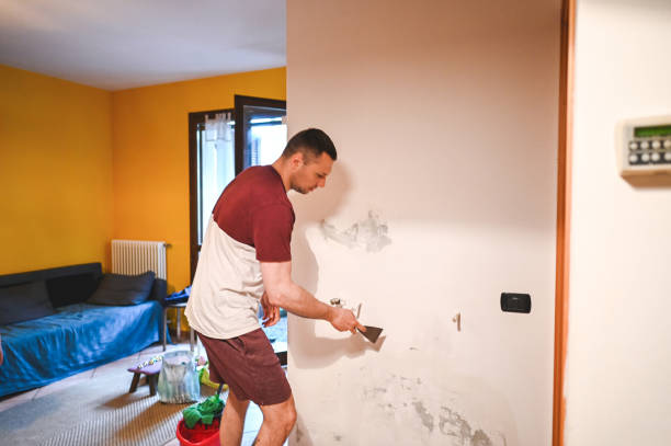 Best Same-Day Mold Removal  in Stanton, MI